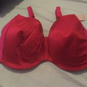 Cacique Cushioned Balconette sz 42G